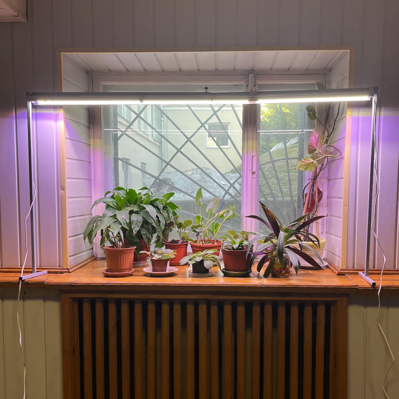 лампа для растений светодиодная на подоконник